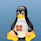 Nova falha de escalada de privilégio afeta a maioria das distribuições Linux