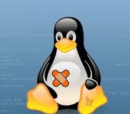 Nova falha de escalada de privilégio afeta a maioria das distribuições Linux