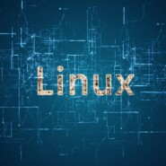 Vulnerabilidade no sistema operacional Linux