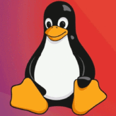 Malware XorDdos direcionado a dispositivos Linux