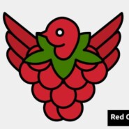 Malware Raspberry Robin